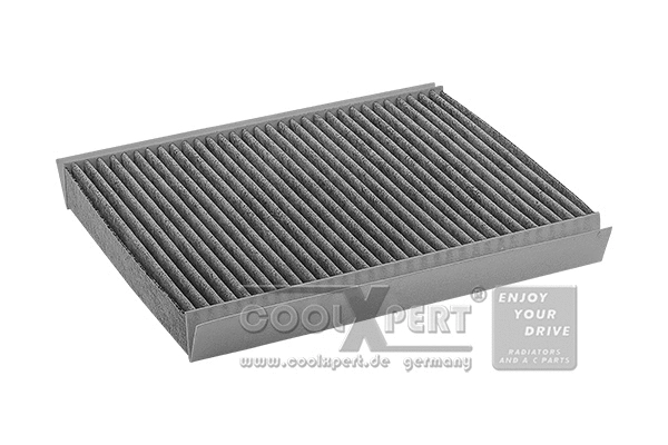 Filter, cabin air (038-20-03396)