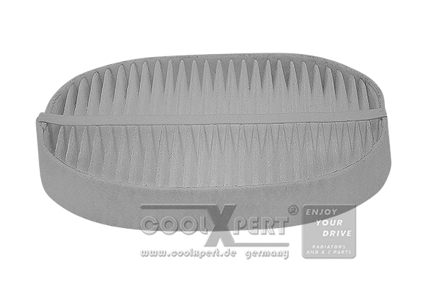 Filter, cabin air (038-20-03249)