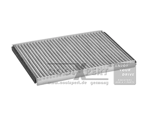 Filter, cabin air (040-20-03331)
