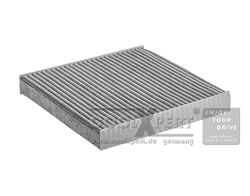 Filter, cabin air (029-20-03321)