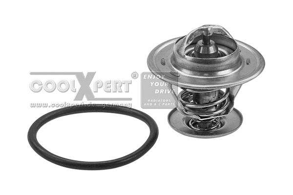 Thermostat, coolant (002-60-03743)