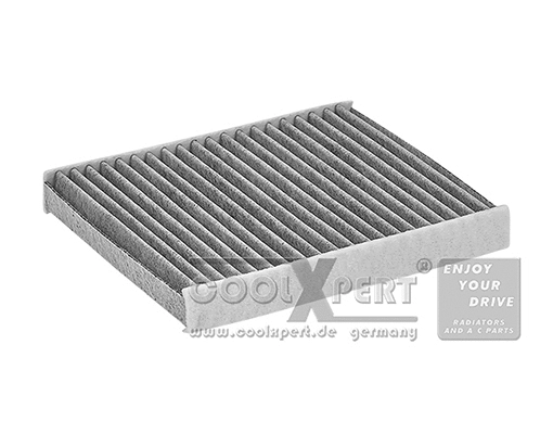 Filter, cabin air (041-20-03339)