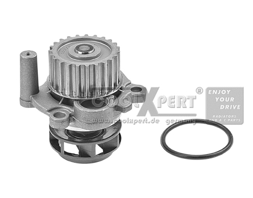Water Pump, engine cooling (002-60-00161)