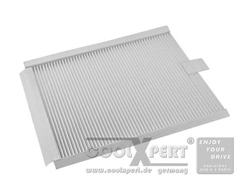 Filter, cabin air (038-20-03174)