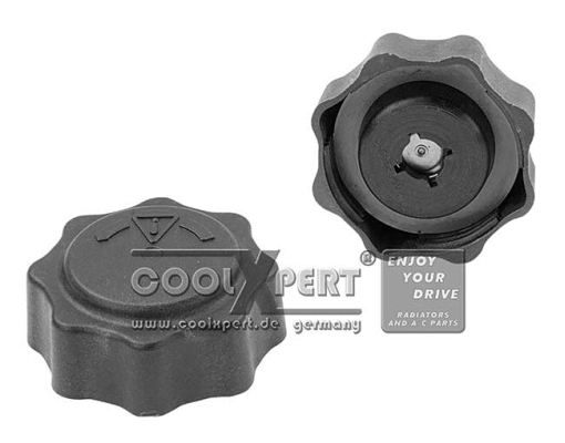 Cap, coolant tank (001-10-17014)
