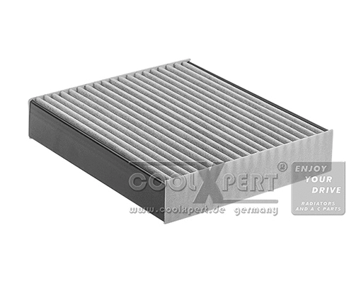 Filter, cabin air (052-20-01337)