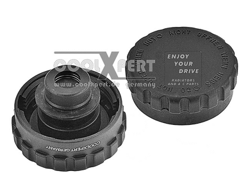 Cap, radiator (003-80-12965)