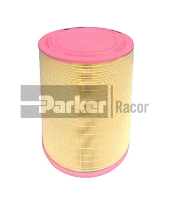 Air Filter (PFA5617)