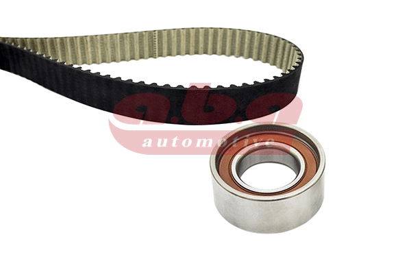 Timing Belt Kit (YK101125)