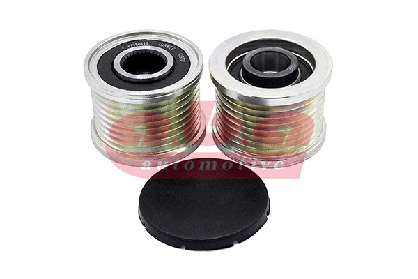 Alternator Freewheel Clutch (YT750119)