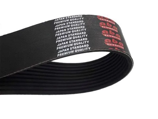 V-Ribbed Belt (10PK1342)
