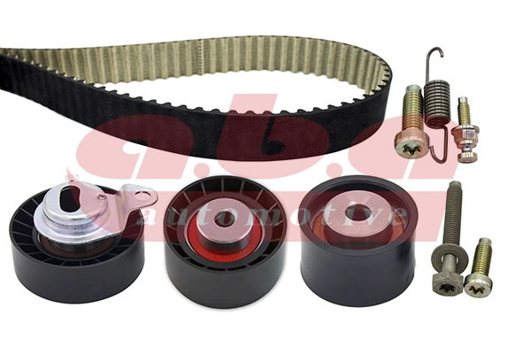 Timing Belt Kit (YK850131)