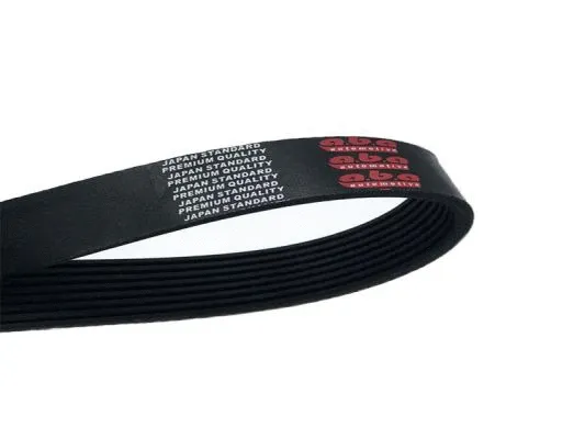 V-Ribbed Belt (8PK1369)