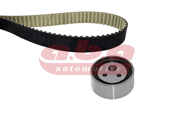 Timing Belt Kit (YK201096)