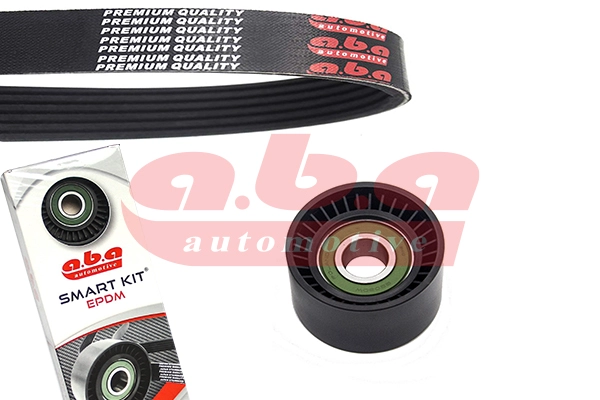 V-Ribbed Belt Set (6PK1795S1)