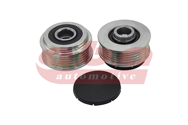 Alternator Freewheel Clutch (YT100107)