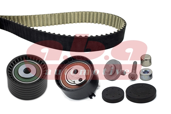 Timing Belt Kit (YK200132)
