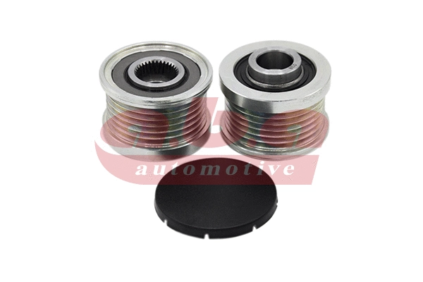 Alternator Freewheel Clutch (YT200038)