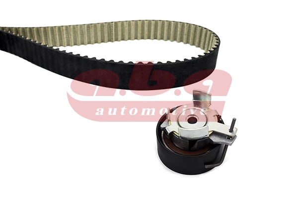 Timing Belt Kit (YK851117)