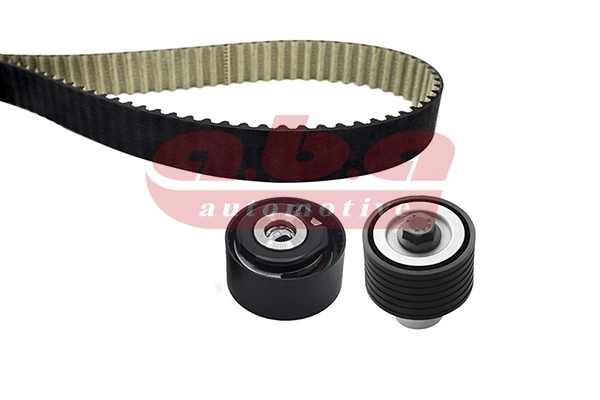 Timing Belt Kit (YK200131)
