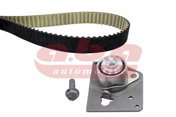 Timing Belt Kit (YK202132)
