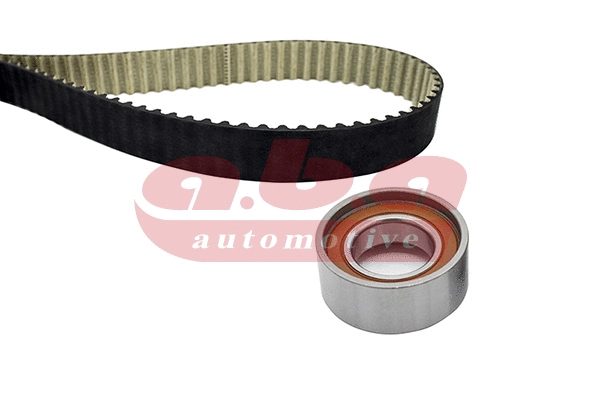 Timing Belt Kit (YK100138)