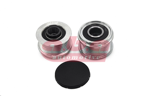 Alternator Freewheel Clutch (YT100151)