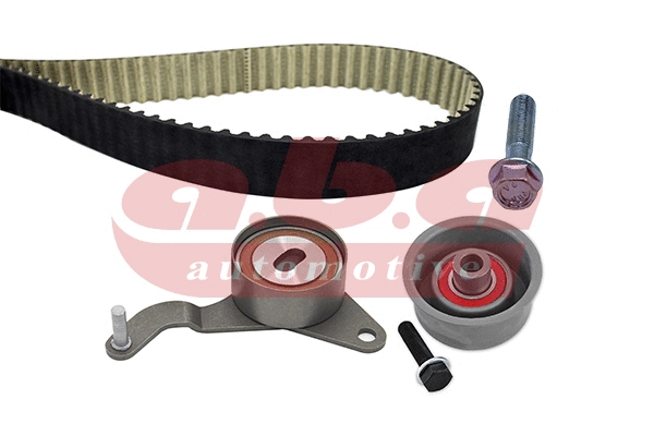 Timing Belt Kit (YK300136)