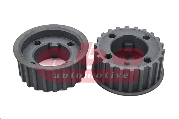 Sprocket, crankshaft (TM500691)
