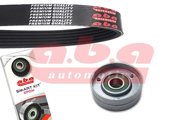 V-Ribbed Belt Set (6PK1725S1)
