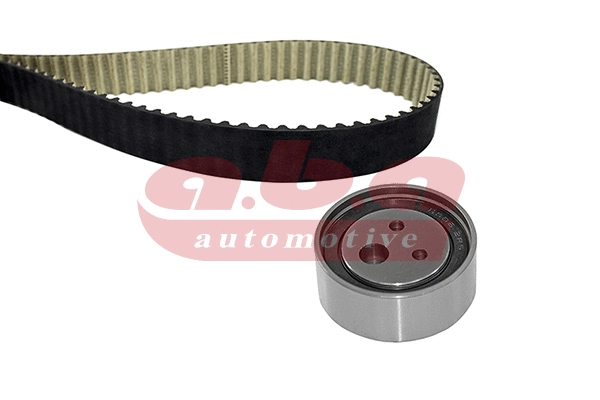 Timing Belt Kit (YK200087)