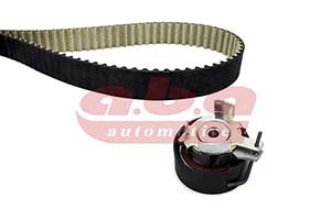 Timing Belt Kit (YK852117)