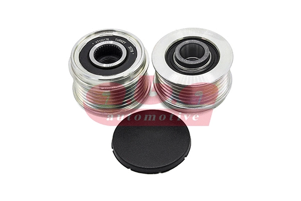 Alternator Freewheel Clutch (YT100176)