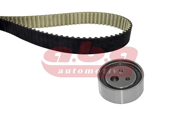 Timing Belt Kit (YK200095)