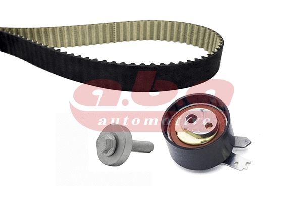 Timing Belt Kit (YK200119)