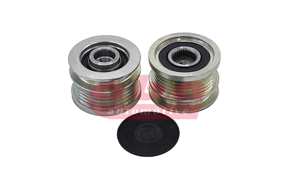 Alternator Freewheel Clutch (YT300143)