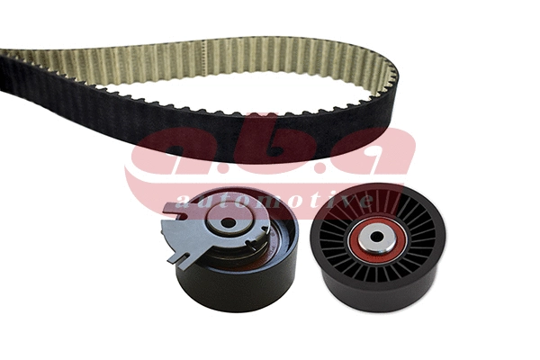 Timing Belt Kit (YK300089)