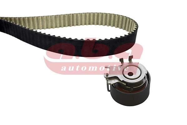 Timing Belt Kit (YK201095)