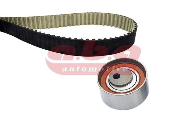 Timing Belt Kit (YK100129)