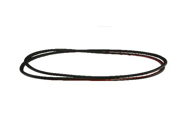 Seal, door window (51338194695)