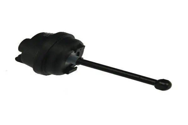 Intake Manifold Module