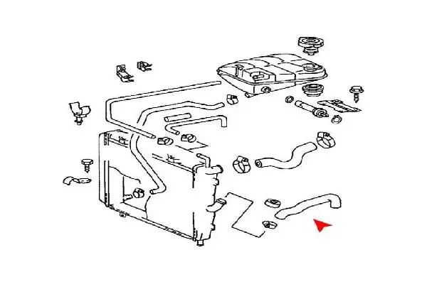 Radiator Hose