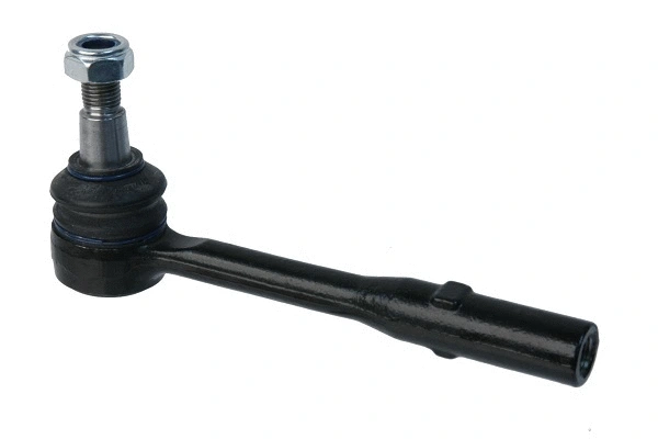 Tie Rod End (2213303903)