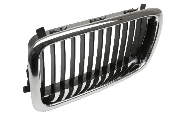 Radiator Grille (51138125811)