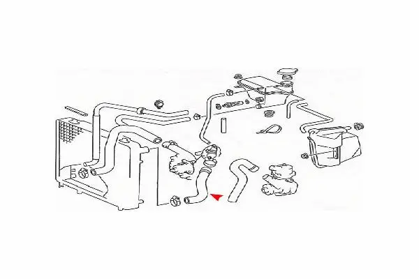 Radiator Hose