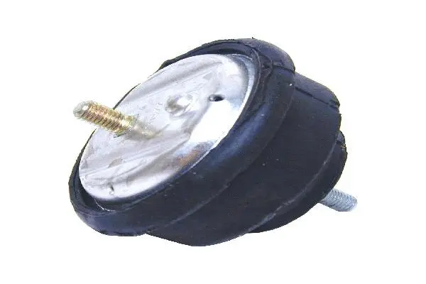 Mounting, engine (11811141377)