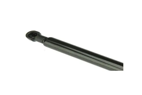 Gas Spring, bonnet