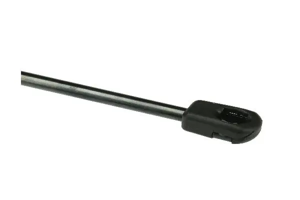 Gas Spring, bonnet