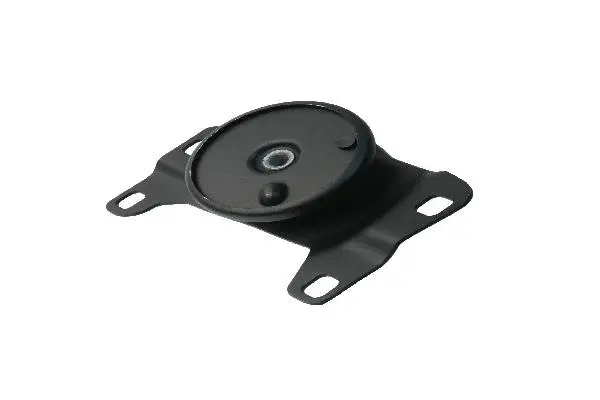 Mounting, engine (31316498)