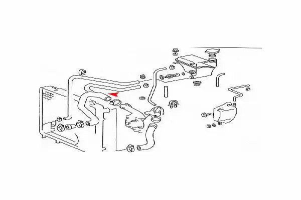 Radiator Hose